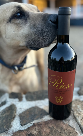 2021 Rios Cabernet Sauvignon